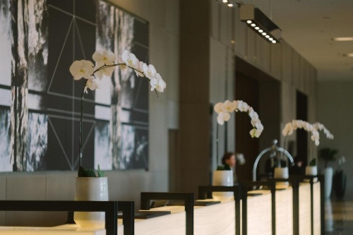 Seda Vertis North image 8